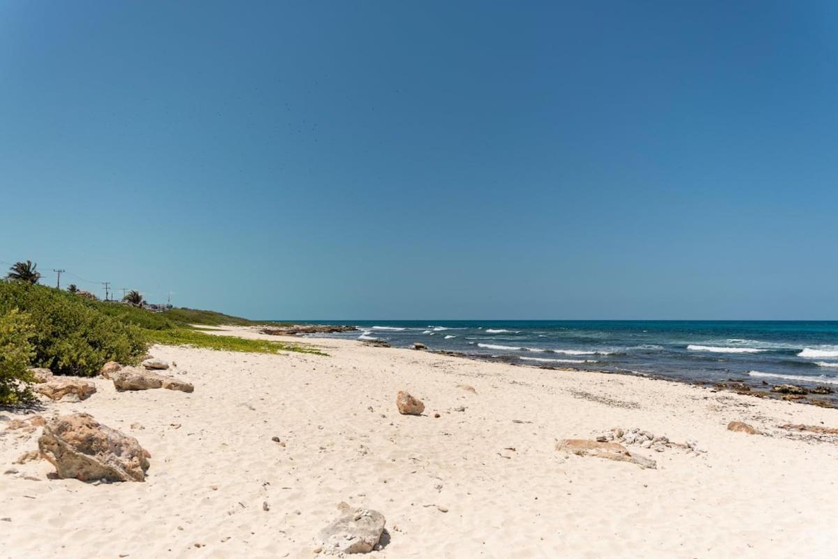 Villa With Ocean View, Pool, Restaurant And Rooftop Isla Mujeres Exteriör bild